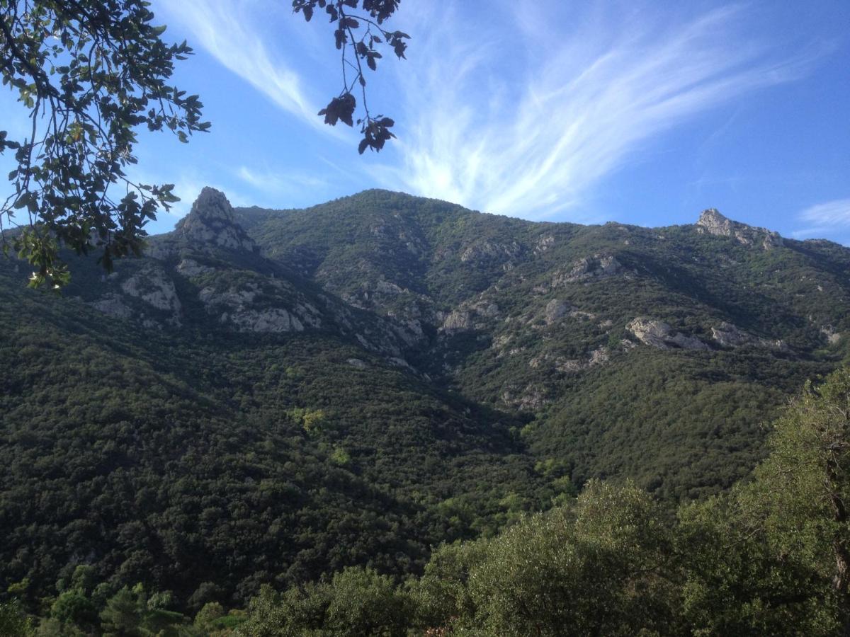 L'Abri La Vall Sorede Exterior photo